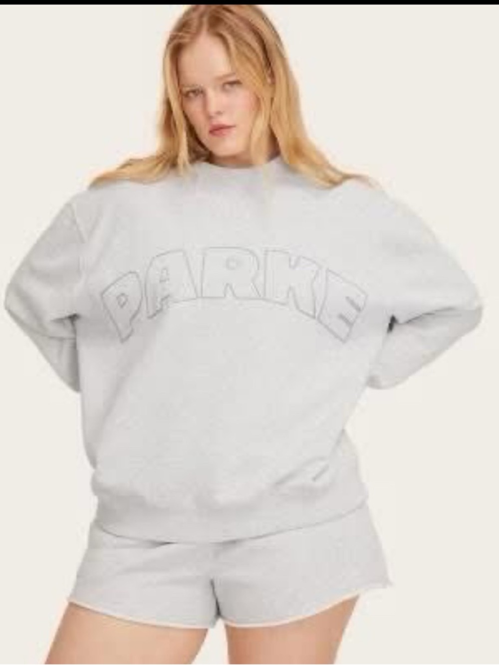 PARKE Light Gray Cozy Cowl Sweater